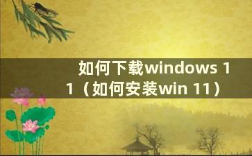 如何下载windows 11（如何安装win 11）